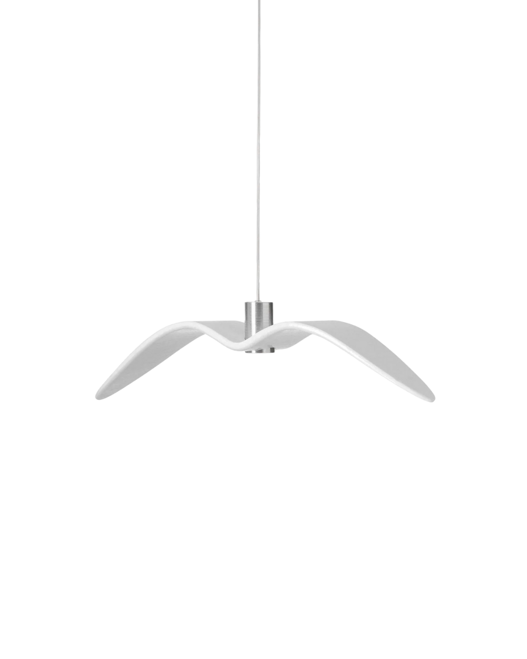 L’Oiseau de Nuit