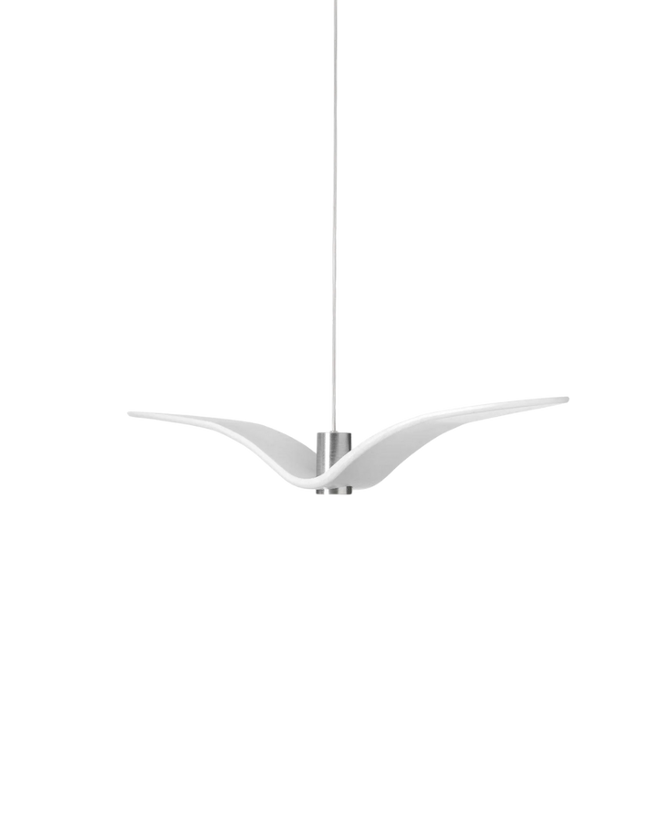 L’Oiseau de Nuit