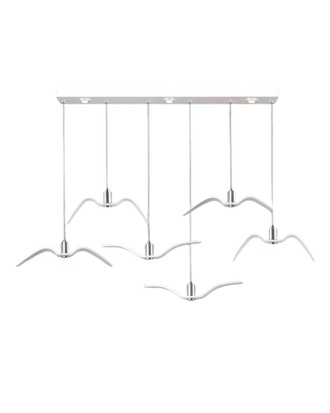 L’Oiseau de Nuit