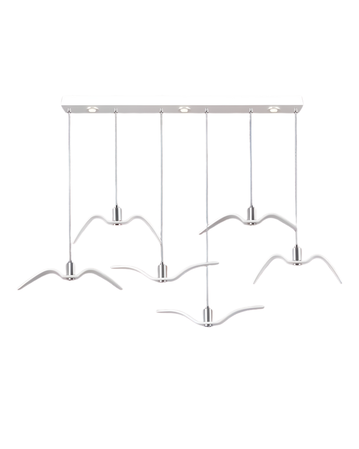 L’Oiseau de Nuit