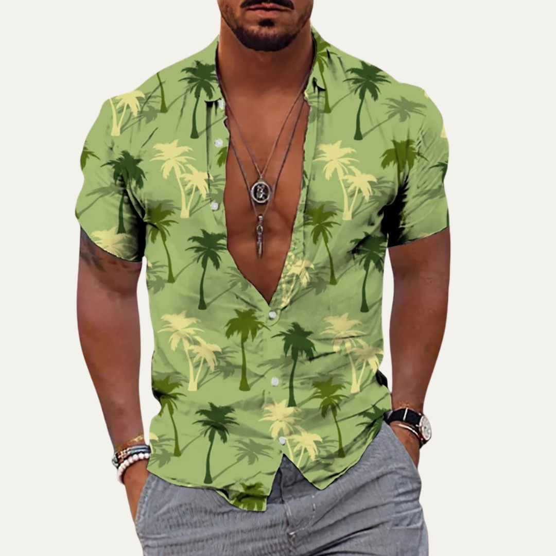 La Chemise de Plage Hawaïenne pour Hommes en Imprimé Tropical de Noix de Coco Ironwood Hill