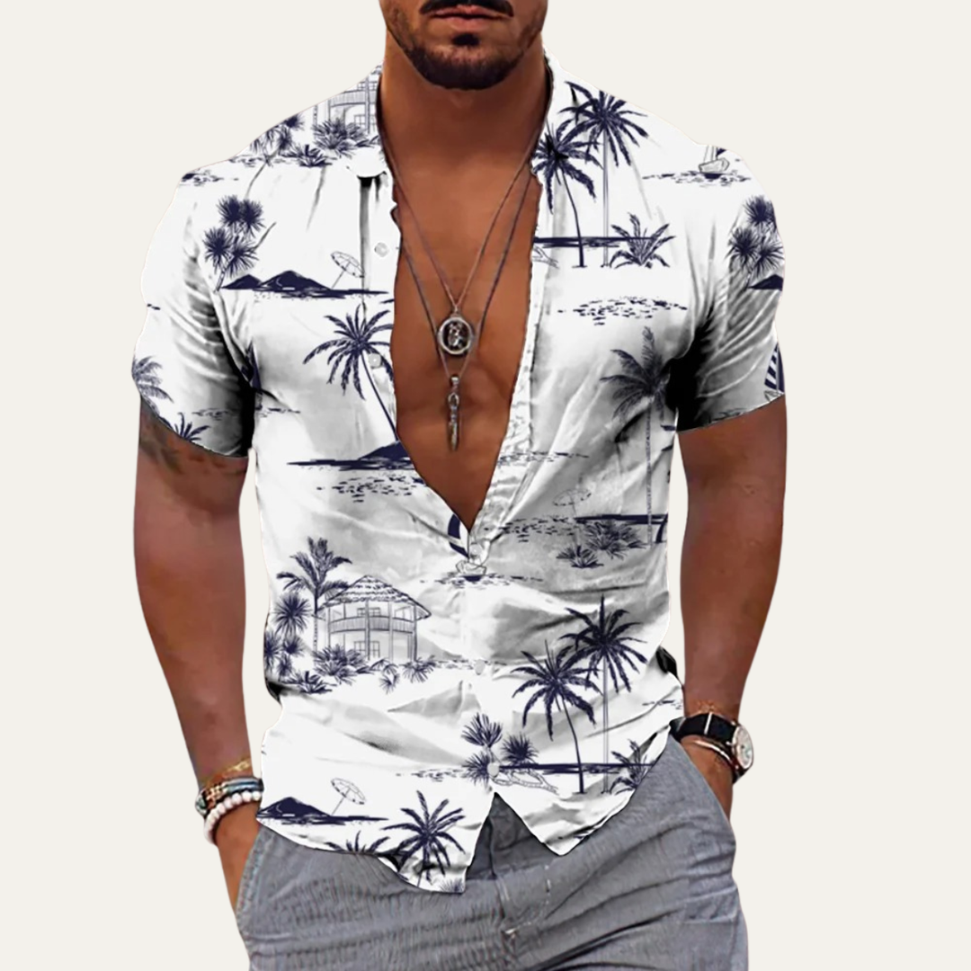 La Chemise de Plage Hawaïenne pour Hommes en Imprimé Tropical de Noix de Coco Ironwood Hill