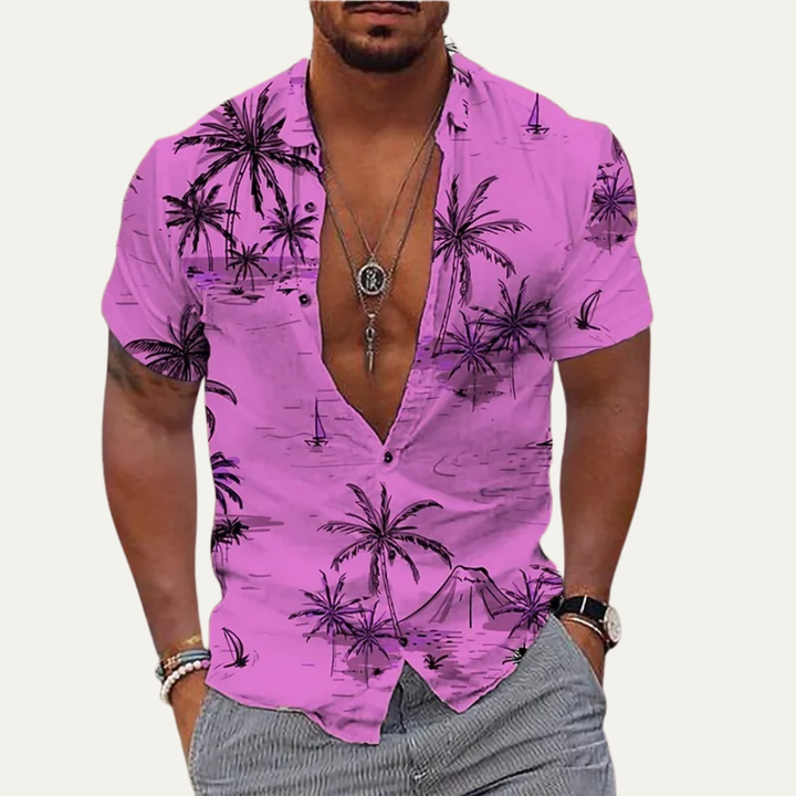 La Chemise de Plage Hawaïenne à Imprimé Coco Tropical Classique pour Homme Willowrun
