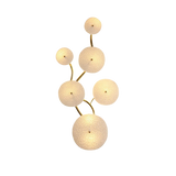 Le Lotus Précieux