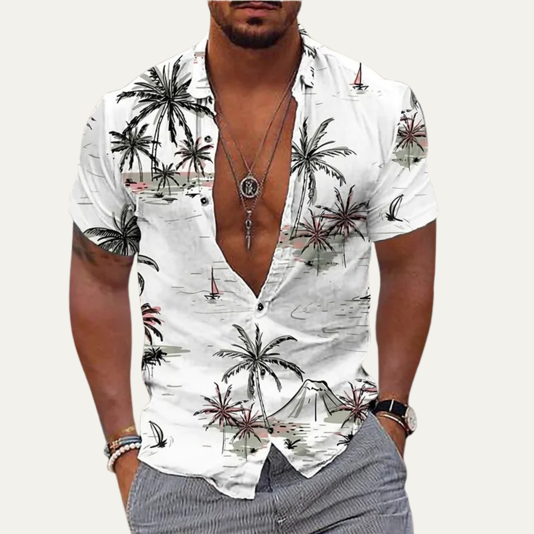 La Chemise de Plage Hawaïenne à Imprimé Coco Tropical Classique pour Homme Willowrun