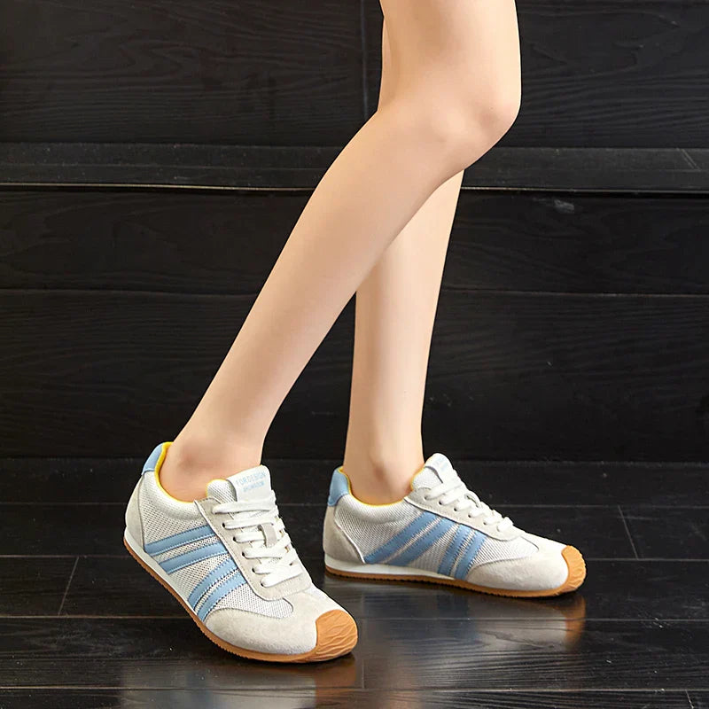 Baskets Aria