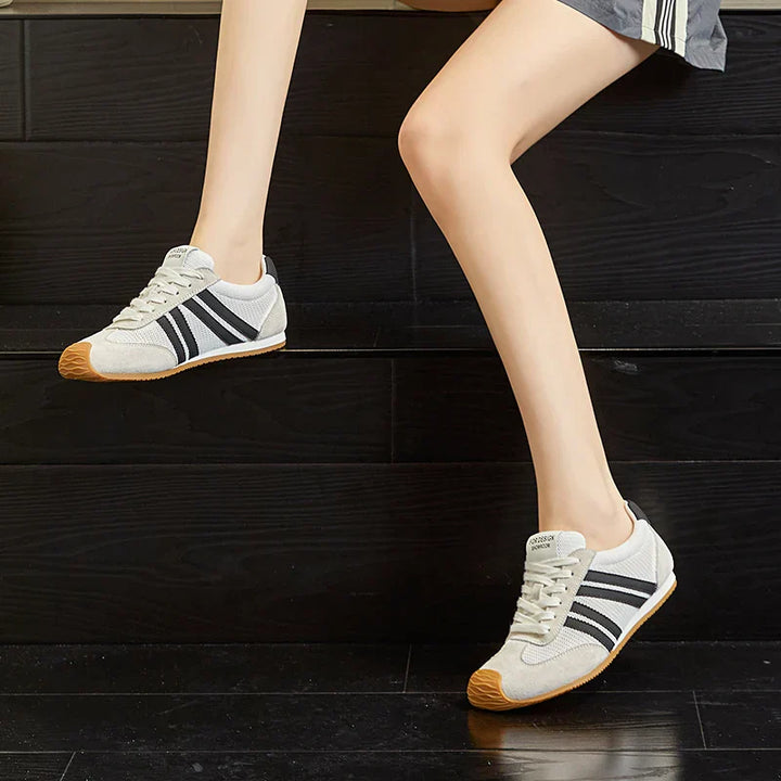 Baskets Aria