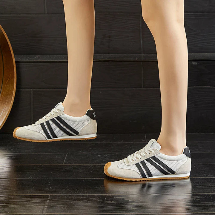 Baskets Aria