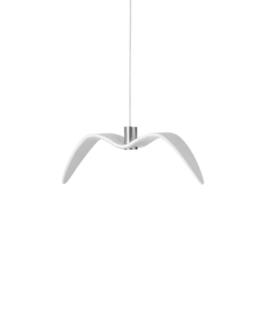 L’Oiseau de Nuit