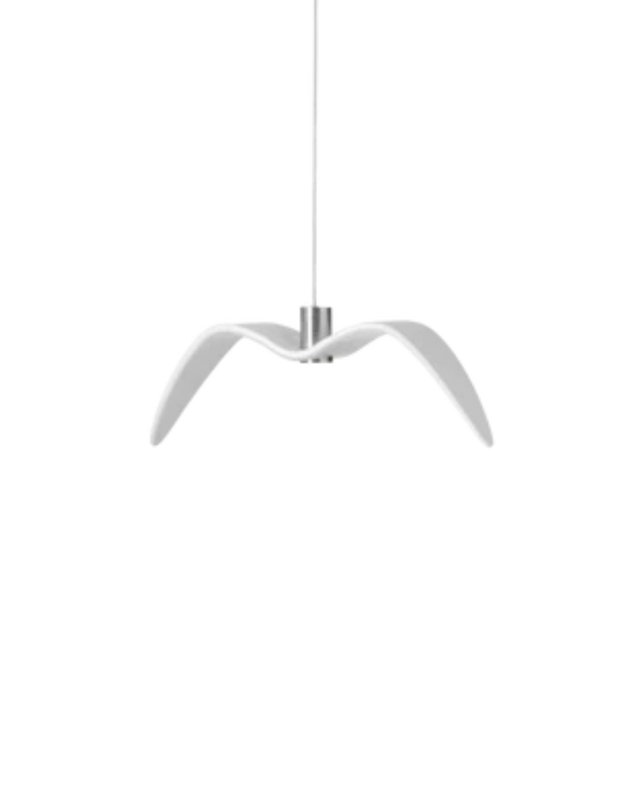 L’Oiseau de Nuit