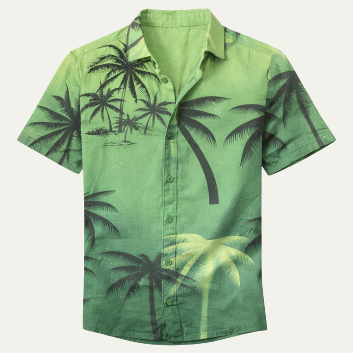 La chemise hawaïenne décontractée pour hommes Brookland avec imprimé tropical de noix de coco